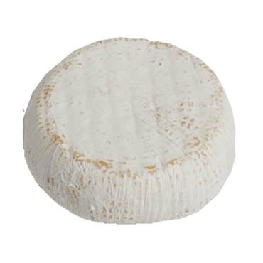 vache - Chertin type 