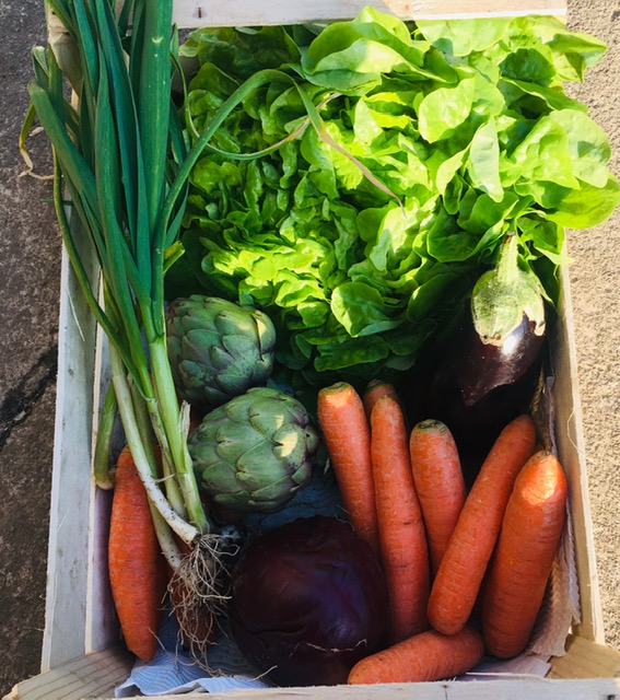 Panier de la semaine/légumes