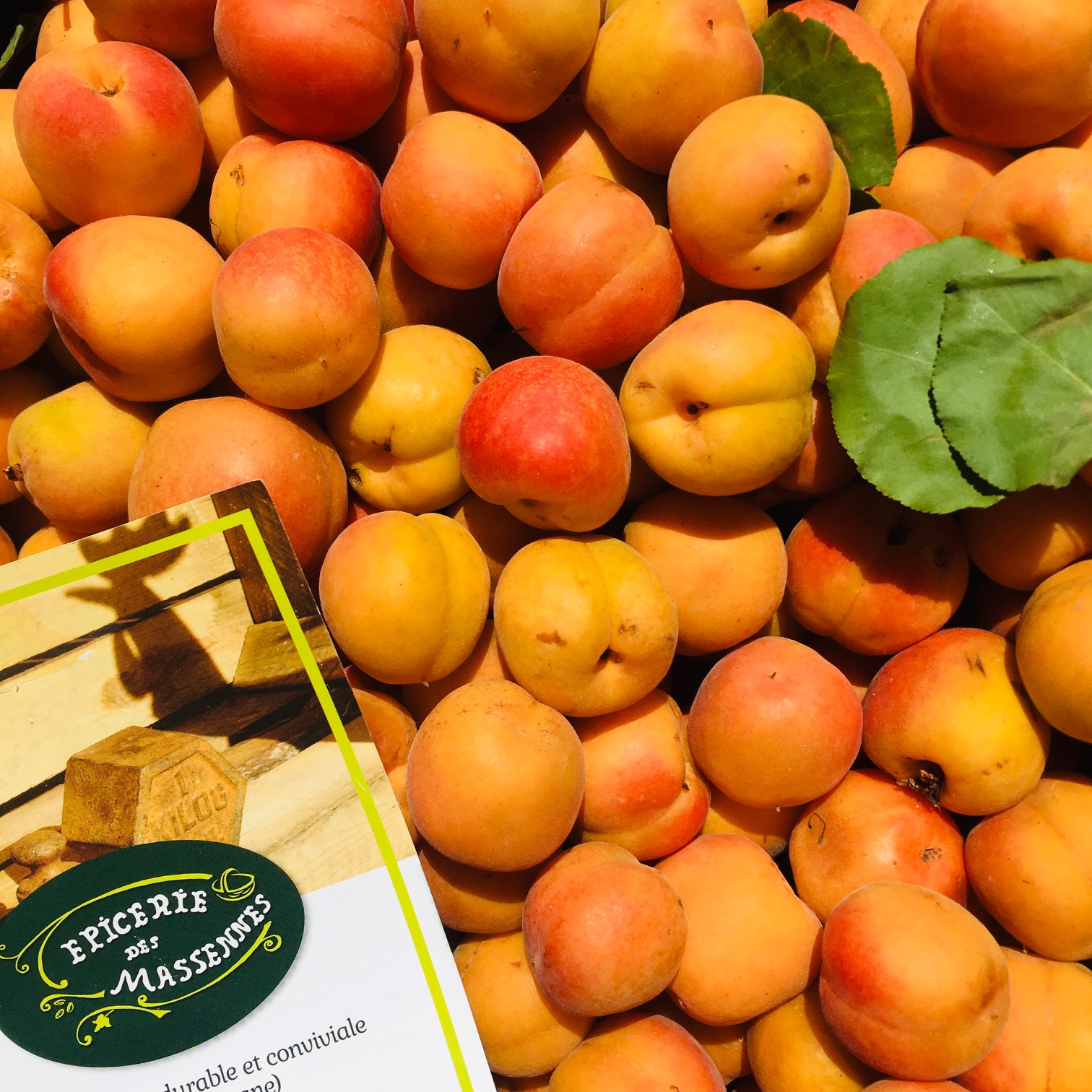 abricots - 500g (8-9 pc)
