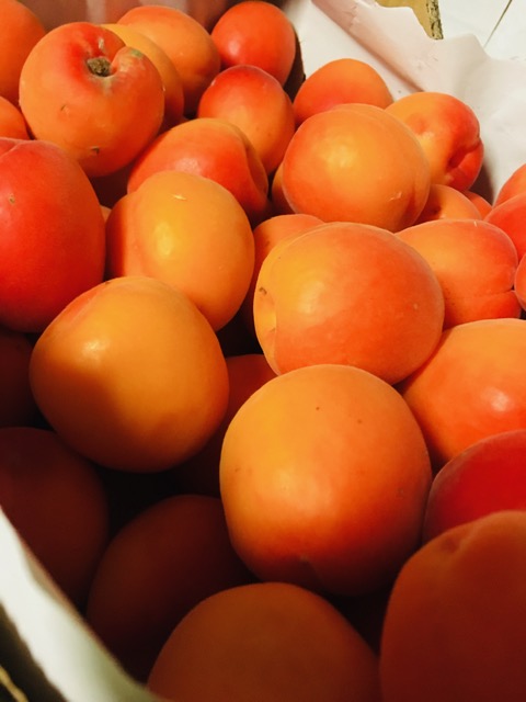 abricots - 500g (8-9 pc)