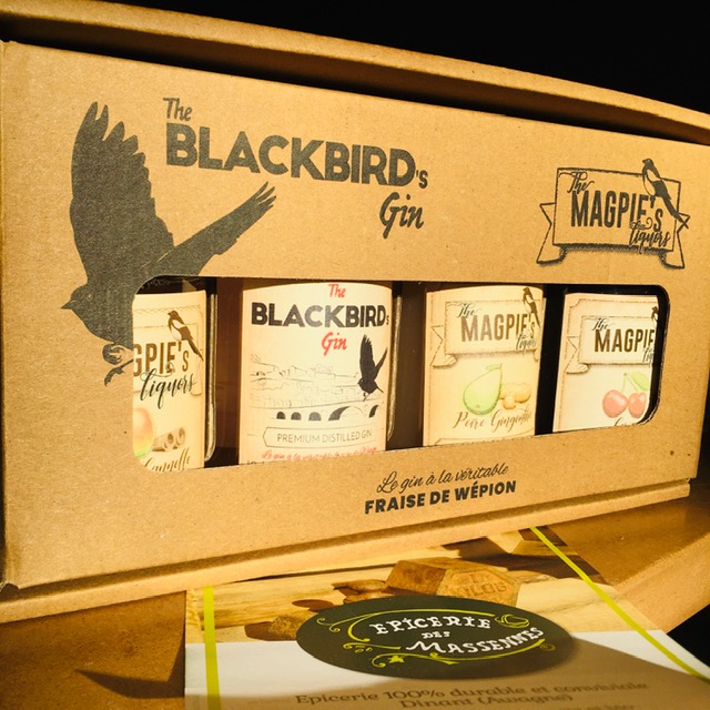 cadeau - coffret découverte gin et liqueur - 4 flacons de 10 cl