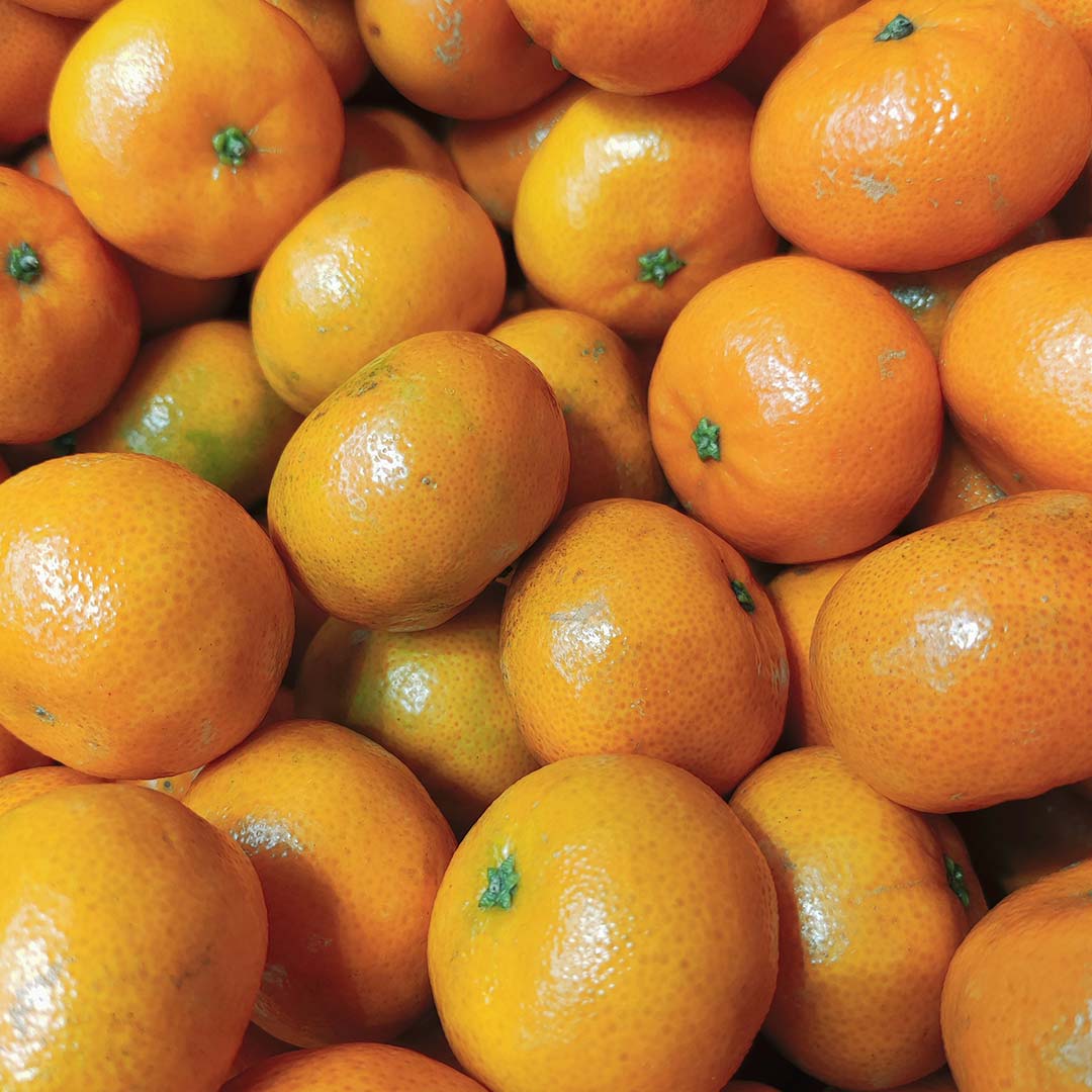 mandarines - 500g