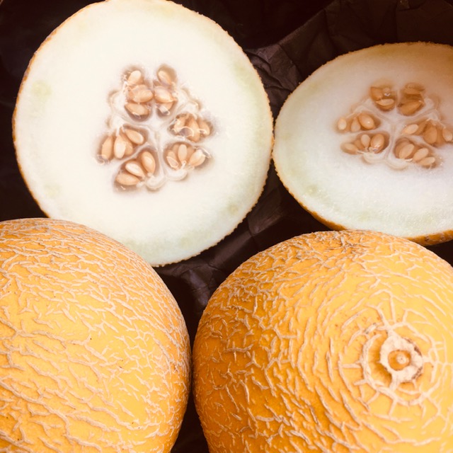 melon Canari - 1pc.