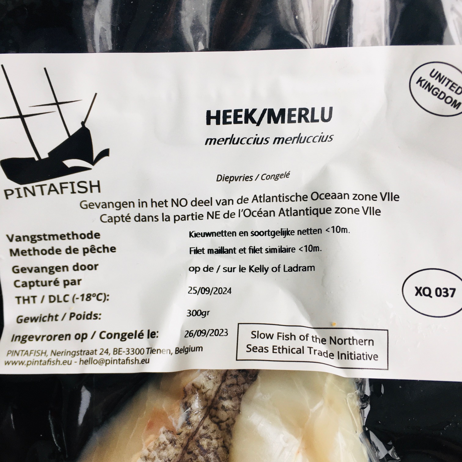 poisson - Merlu - 300 g  (filets surgelés)