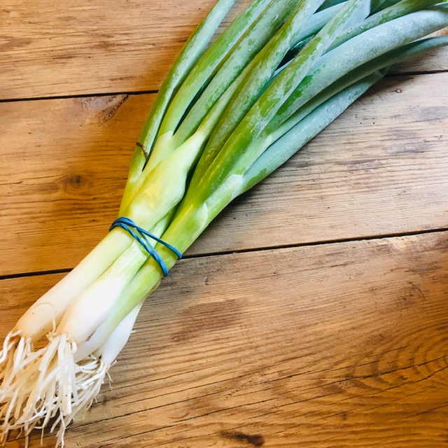 oignons ciboule - botte