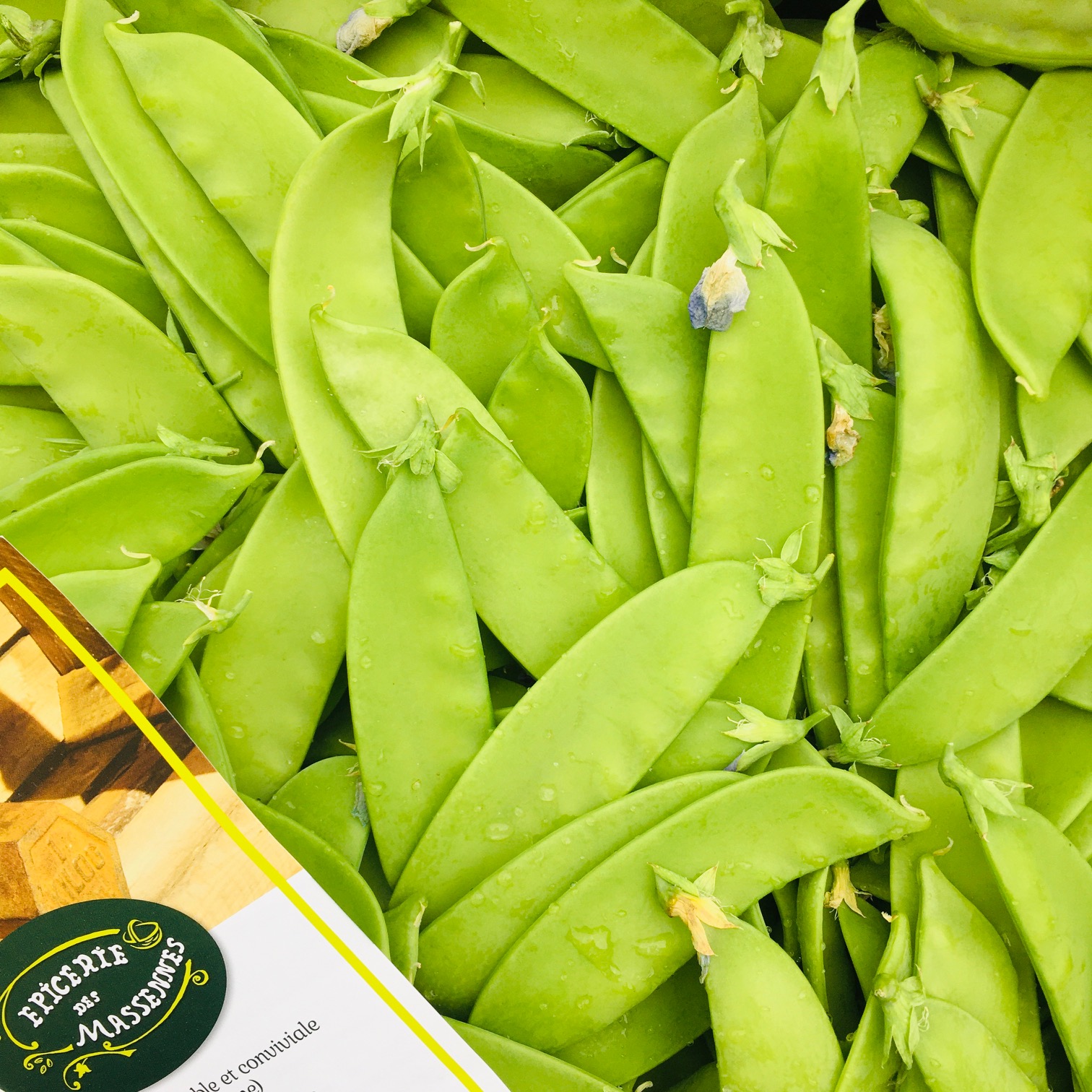 Haricots 