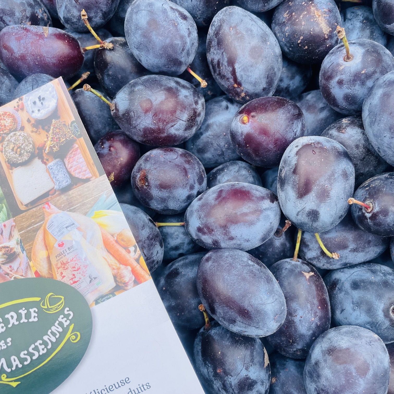 prunes mauves  - 500g