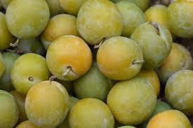 prunes 