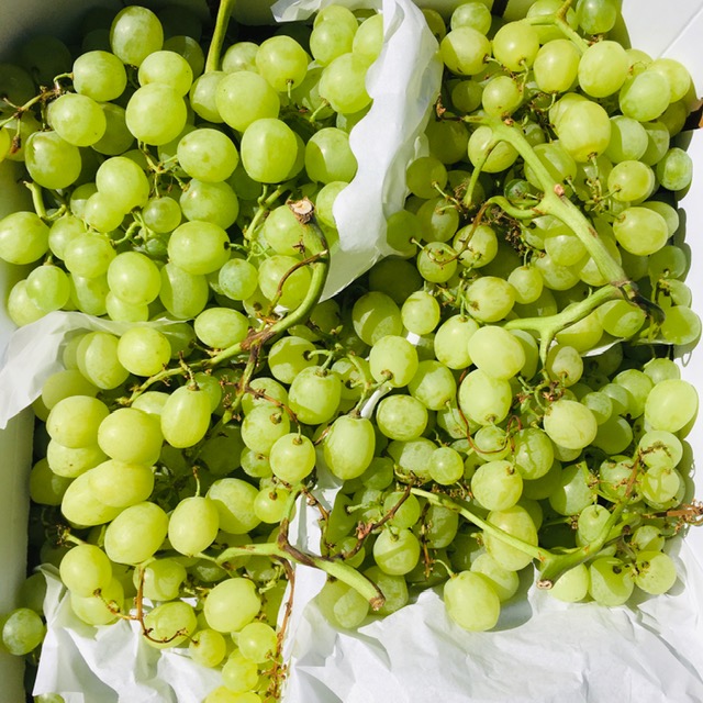 raisin blanc - 500g (6,50 euros du kilo)