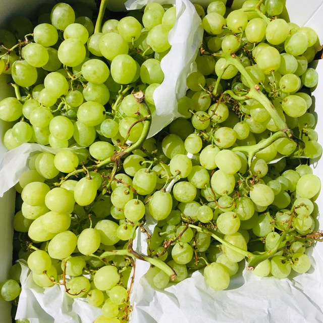 raisin blanc - 500g