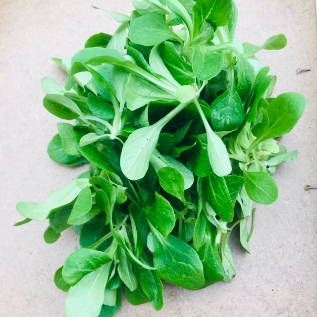 Salade de blé (200g)