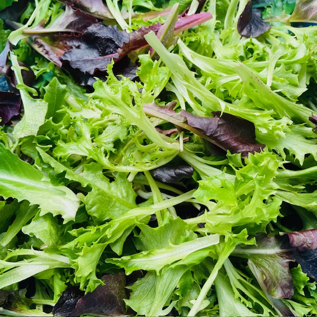 Salade 
