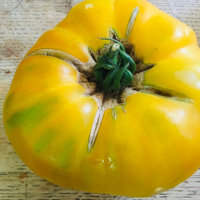 tomates 