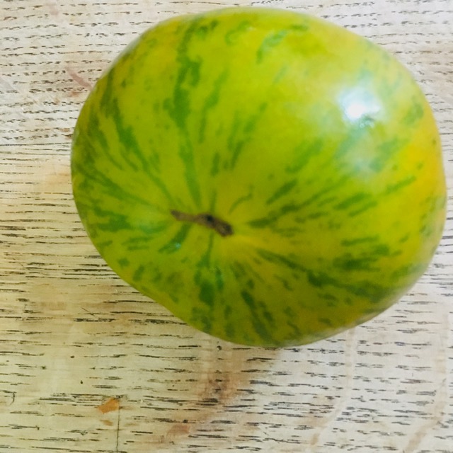 tomates 