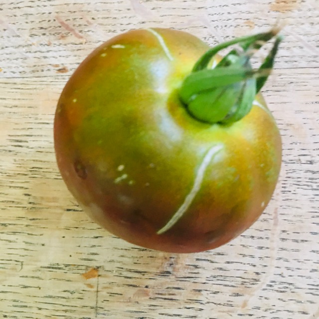 tomates 