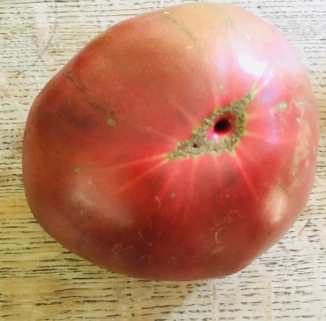 tomates 