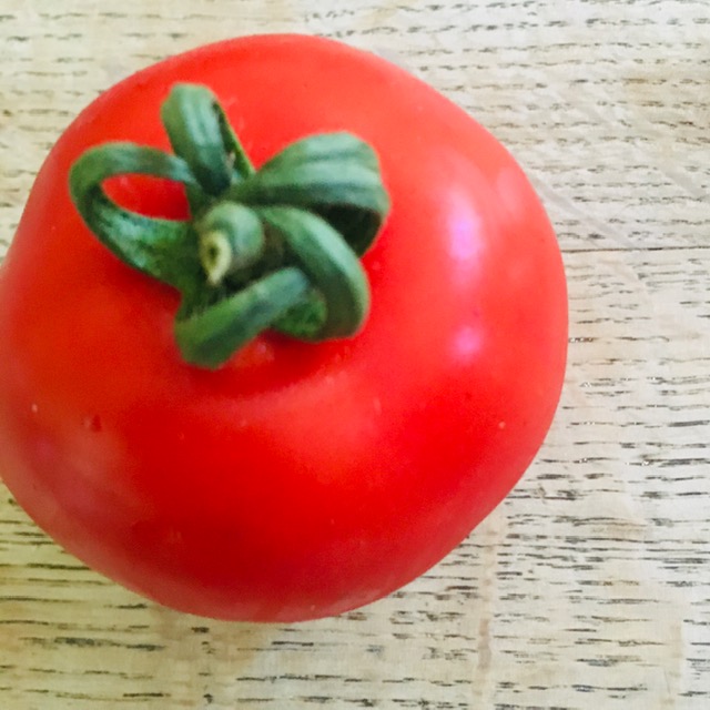 tomates 