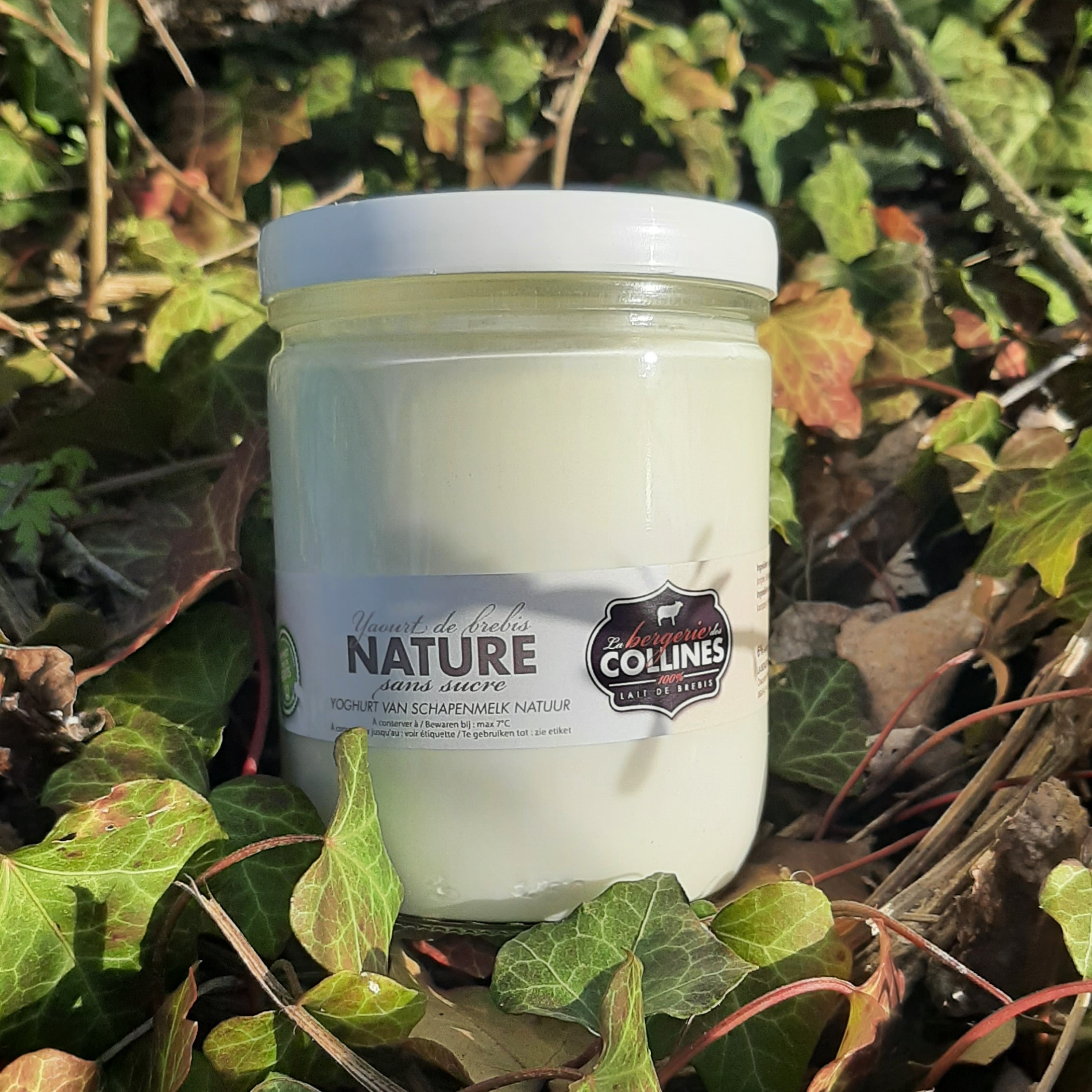Yaourt de brebis nature - 400ml (grand pot)